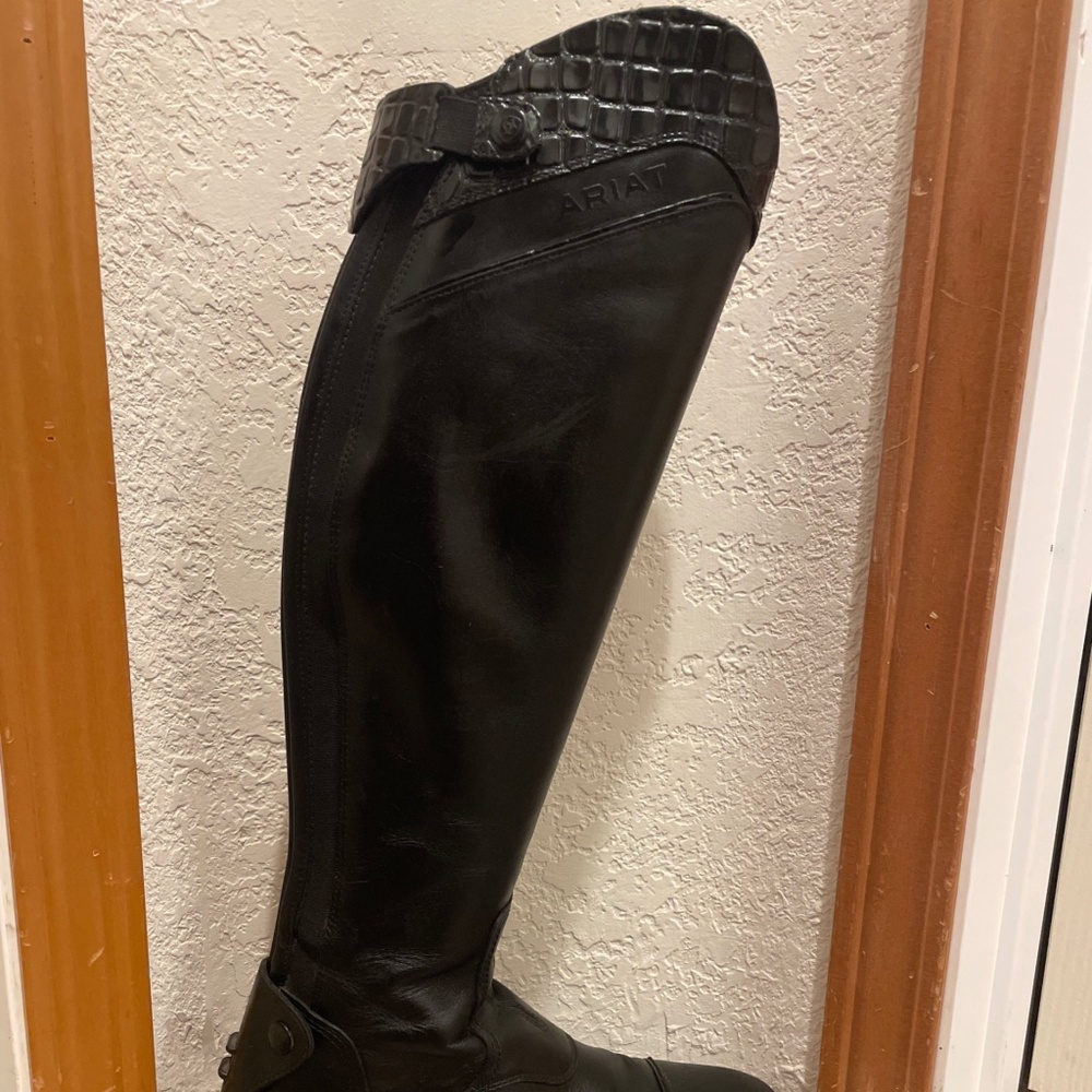 Ariat Palisade Show Tall Boot. Size: 7.5